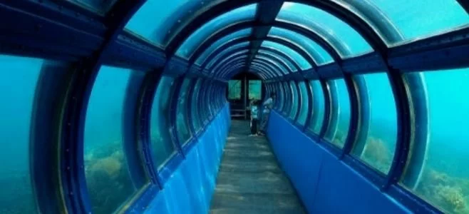 Akuarium Bawah Laut Pulau Putri Kepulauan Seribu