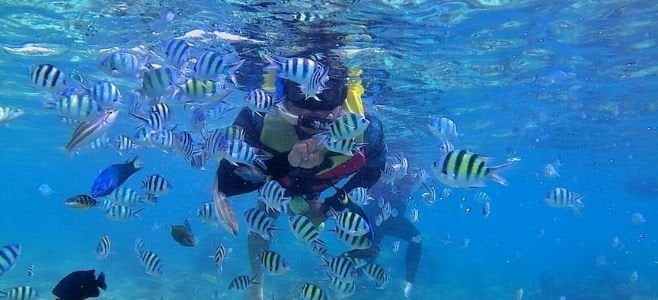 Snorkeling Wisata Pulau Tidung